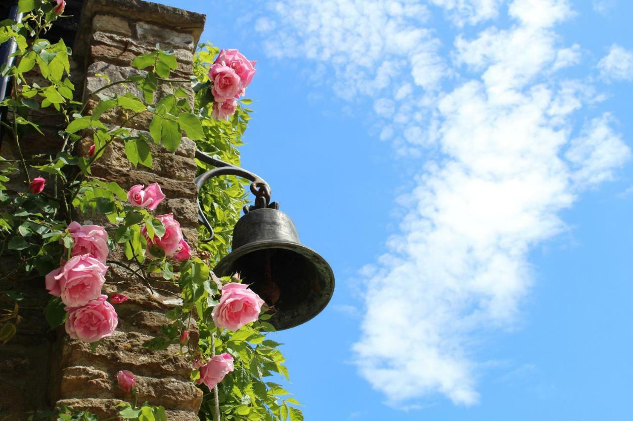 Hewletts Mill Vendégház Castle Cary Kültér fotó